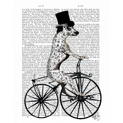 Dalmatian on Bicycle
