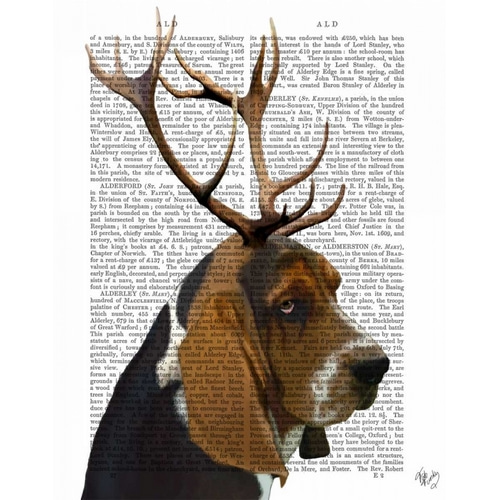Basset Hound and Antlers