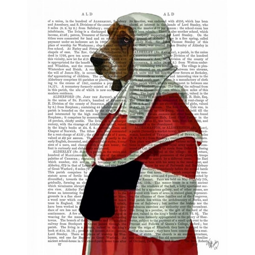 Basset Hound Judge Portrait