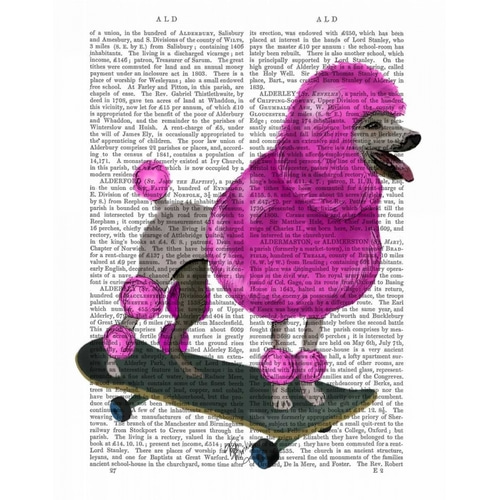 Pink Poodle and Skateboard