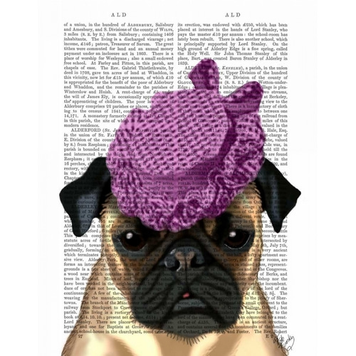 Pug with Vintage Purple Hat