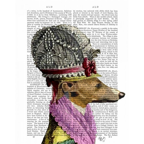 Greyhound in 16th Century Hat