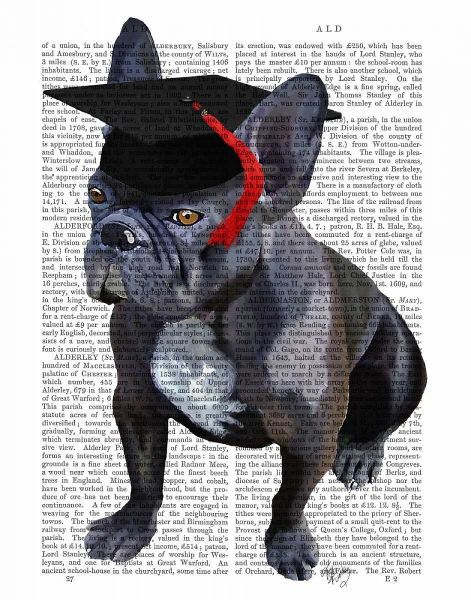 Graduation French Bulldog