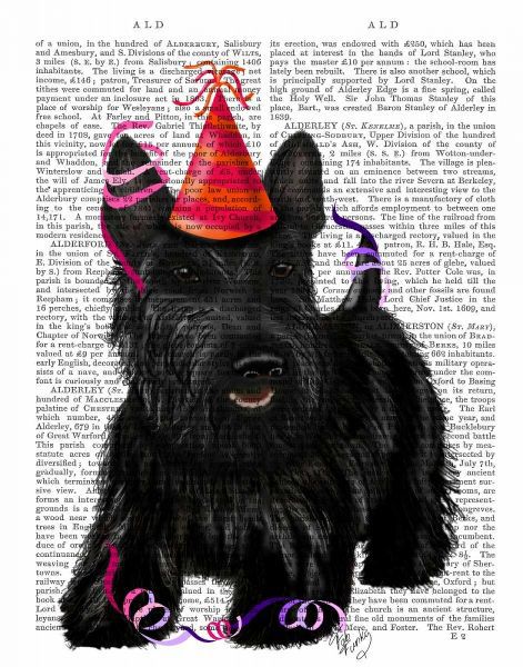 Scottish Terrier and Party Hat