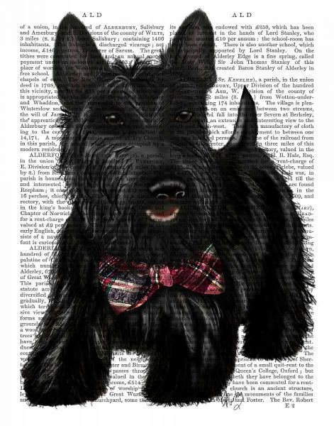 Scottish Terrier and Bow
