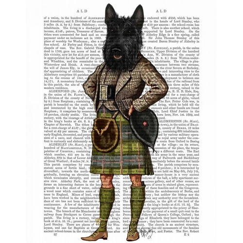 Scottish Terrier in Kilt