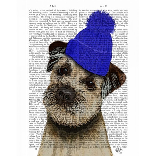 Border Terrier with Blue Bobble Hat
