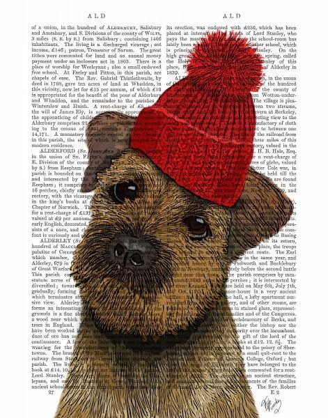 Border Terrier with Red Bobble Hat