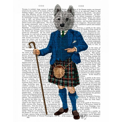 West Highland Terrier in Kilt