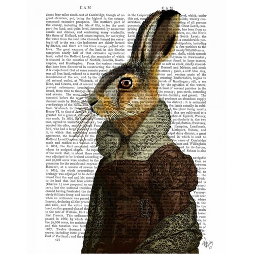Madam Hare Portrait