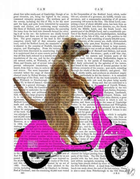 Meerkat on Pink Moped