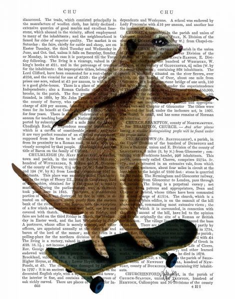 Meerkat On Skateboard