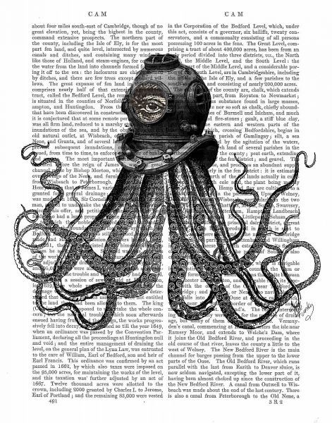 Octopus and Diving Helmet
