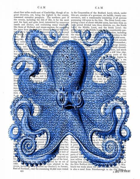 Vintage Blue Octopus 1  Front