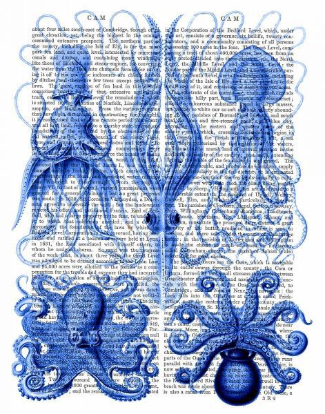 Octopus and Squid Blue