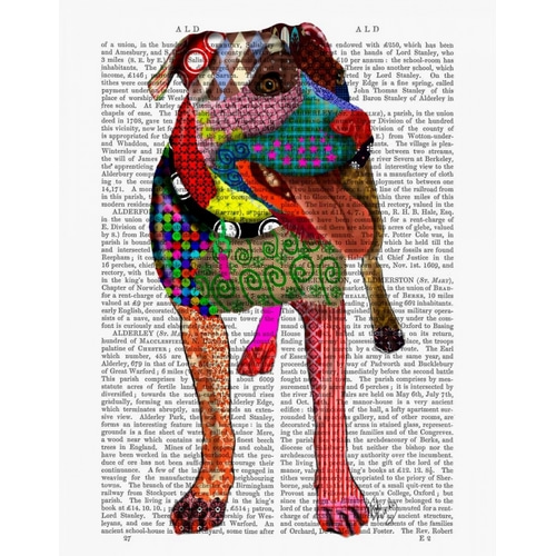 Staffordshire Bull Terrier - Patchwork