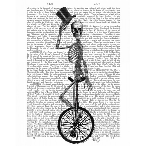 Skeleton on Unicycle
