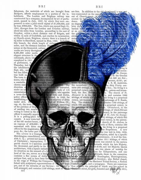 Skull with Blue Hat