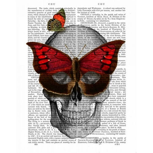 Pink Butterfly Mask Skull