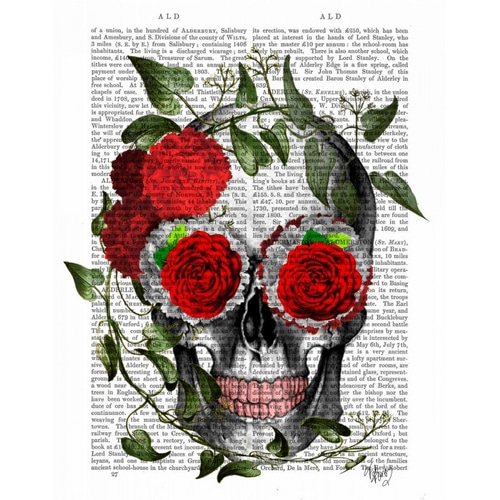 Skull With Roses And Vines