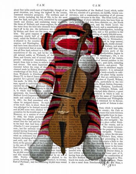 Sock Monkey and Cello