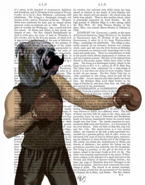 Boxing Bulldog Portrait
