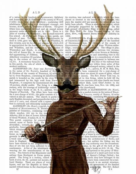 Fencing Deer Portrait