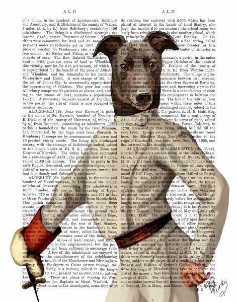 Greyhound Fencer in Cream Portrait