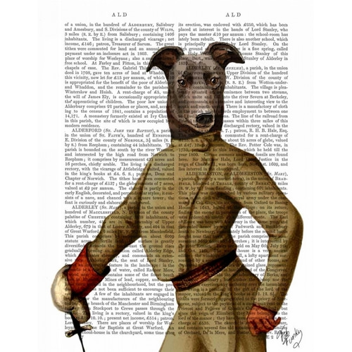 Greyhound Fencer Dark Portrait