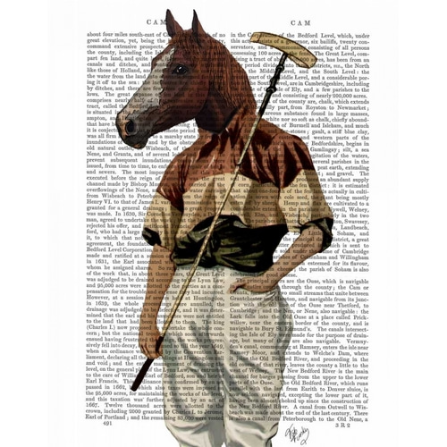 Polo Horse Portrait