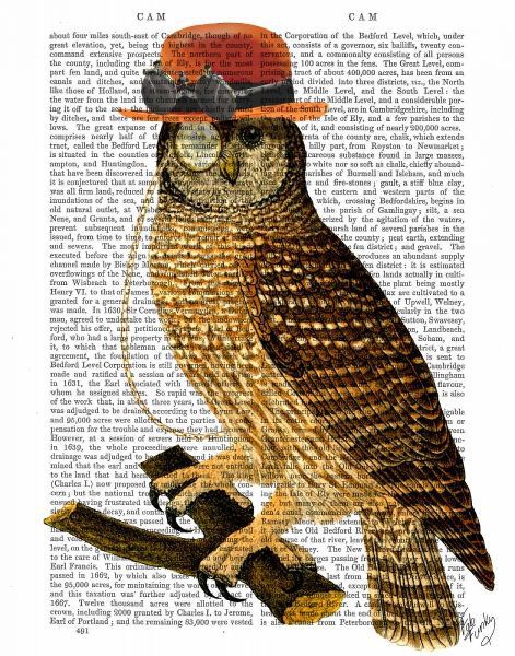 Owl with Steampunk Style Bowler Hat