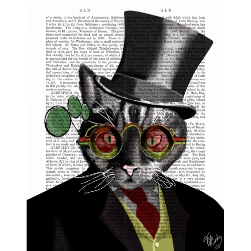 Steampunk Cat - Top Hat and red yellow glasses