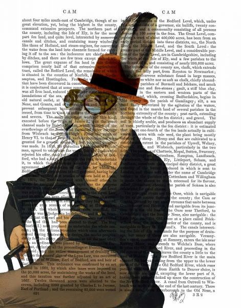 Horatio Hare On Chair