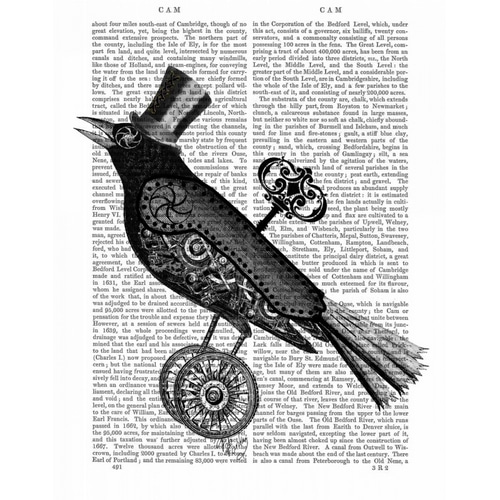 Steampunk Crow