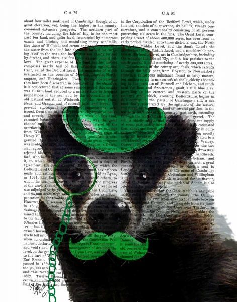 Badger with Green Top Hat and Moustache