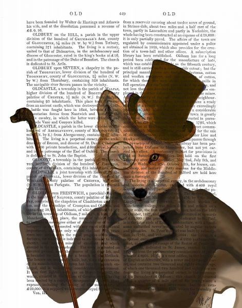 The Bounder Fox Print