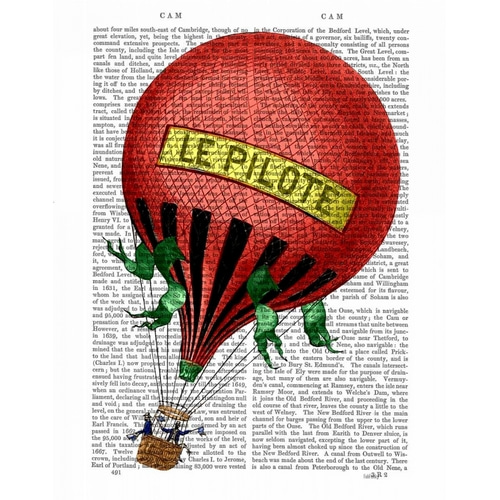 Le Pilote Hot Air Balloon