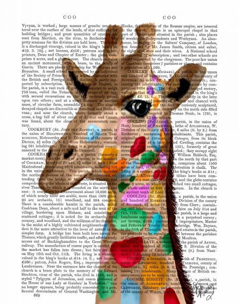 Multicoloured Giraffe