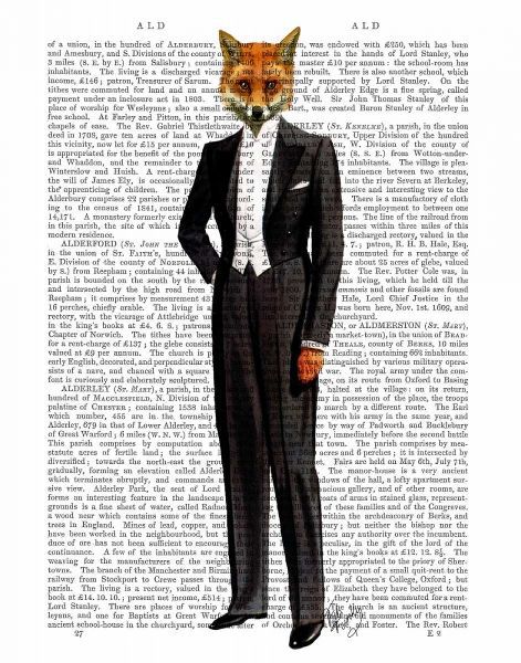 Fox In Evening Suit Full