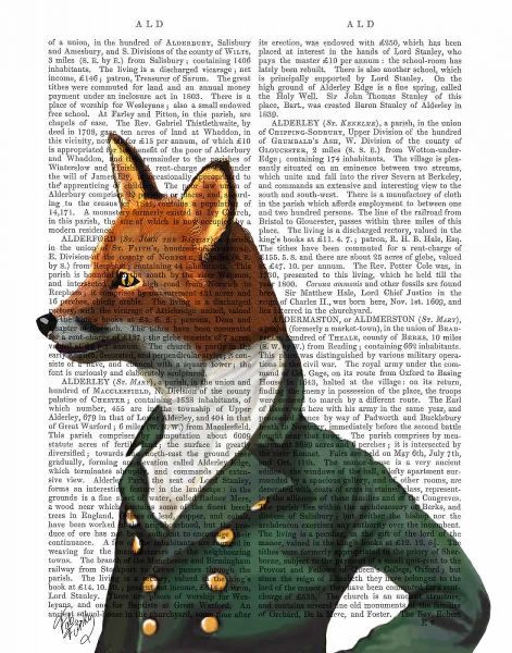 Dandy Fox Portrait