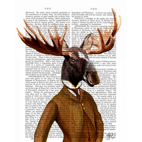 Moose In Suit Portrait