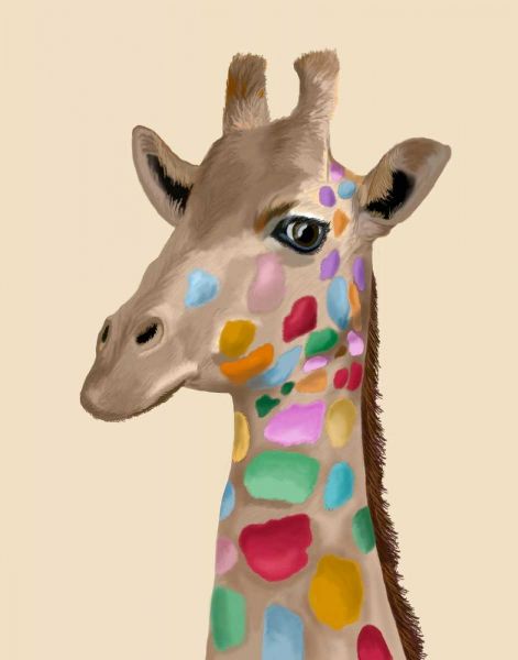 MultiColoured Giraffe