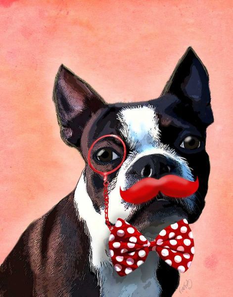 Boston Terrier Portrait with Red Bow Tie and Moustache