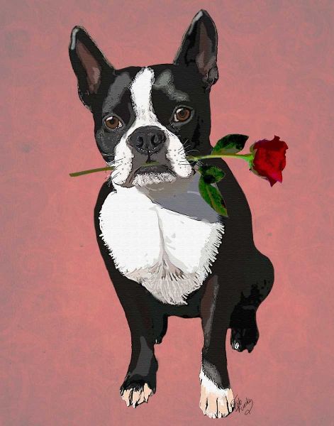 Boston Terrier with Rose in Mouth