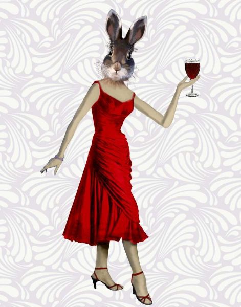 Rabbit in Red Dress