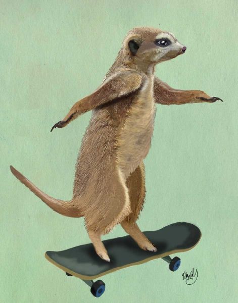 Meerkat On Skateboard