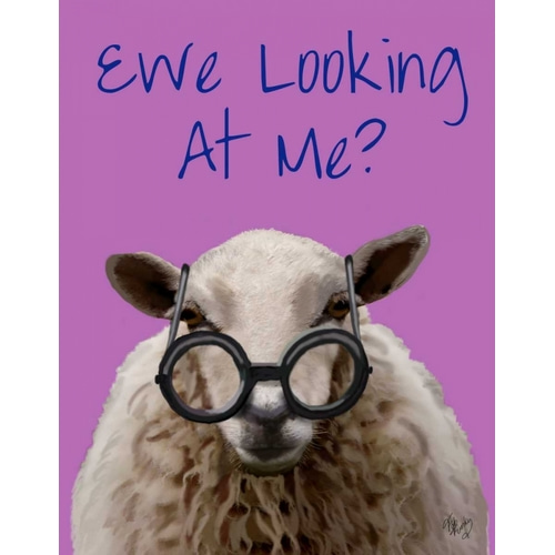 Ewe Looking at Me DeNiro Sheep