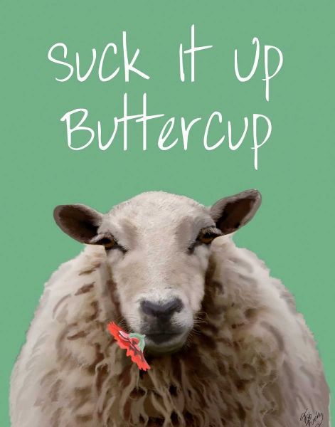 Suck It Up Buttercup Sheep Print