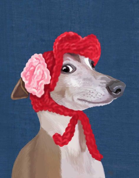 Greyhound with Red Woolly Hat