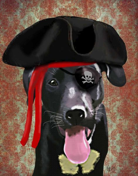 Black Labrador Pirate Dog